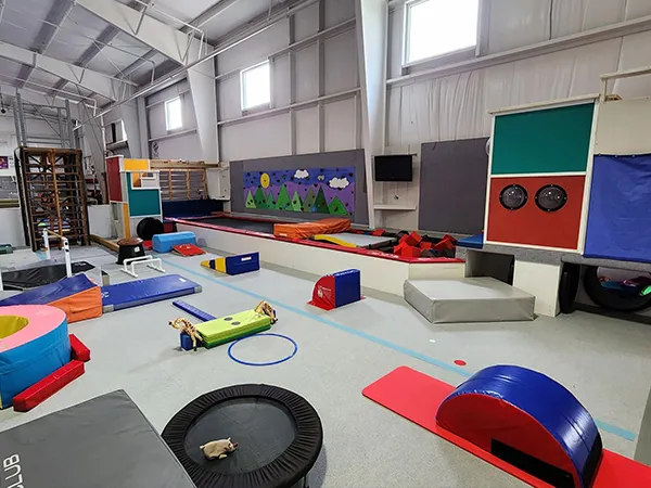 ကြံ့ခိုင်မှု ပျော့ပျောင်းသော ထုပ်ပိုးမှုဆိုင်ရာ အသုံးချမှုများ